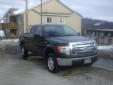 Bail pour Ford F-Series 2009 Noir