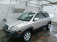 Bail pour Hyundai Tucson 2006 Beige