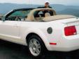 Bail pour Ford Mustang 2008 Blanc