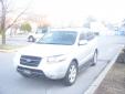 Bail pour Hyundai Santa Fe 2007 Gris