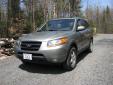 Bail pour Hyundai Santa Fe 2008 Vert