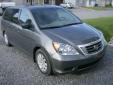 Bail pour Honda Odyssey 2008 Gris