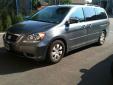 Bail pour Honda Odyssey 2010 Gris