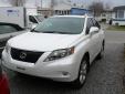 Bail pour Lexus RX 350 2010 Blanc