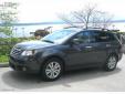 Bail pour Subaru Tribeca 2009 Gris