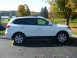 Bail pour Hyundai Santa Fe 2007 Blanc