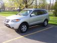 Bail pour Hyundai Santa Fe 2008 Gris