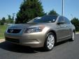 Bail pour Honda Accord 2008 Or