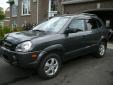 Bail pour Hyundai Tucson 2008 Gris