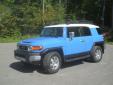 Bail pour Toyota FJ Cruiser 2007 Bleu