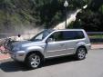 Bail pour Nissan X-Trail 2006 Gris