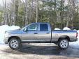 Bail pour Dodge Ram Series 2008 Gris