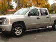 Bail pour Chevrolet Silverado 2008 Beige