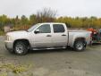 Bail pour GMC Sierra Series 2008 Beige