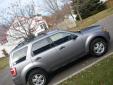 Bail pour Ford Escape 2008 Gris