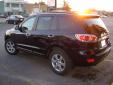 Bail pour Hyundai Santa Fe 2007 Bleu