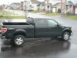 Bail pour Ford F-Series 2010 Noir
