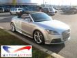Bail pour Audi TT 2009 Gris