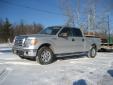 Bail pour Ford F-Series 2009 Gris