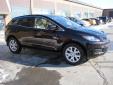 Bail pour Mazda CX-7 2007 