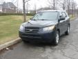 Bail pour Hyundai Santa Fe 2007 Bleu
