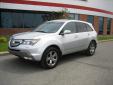 Bail pour Acura MDX 2009 Gris