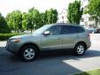 Bail pour Hyundai Santa Fe 2008 Vert