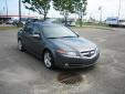 Bail pour Acura TL 2008 Gris