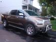 Bail pour Toyota Tundra 2007 Gris