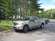 Bail pour Ford F-Series 2008 Or