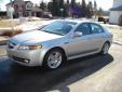 Bail pour Acura TL 2007 Gris