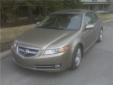 Bail pour Acura TL 2008 Beige
