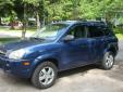 Bail pour Hyundai Tucson 2008 Bleu