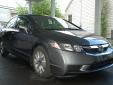 Bail pour Honda Civic 2009 Gris