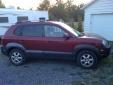 Bail pour Hyundai Tucson 2005 Rouge