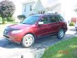 Bail pour Hyundai Santa Fe 2007 Rouge