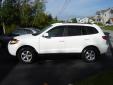 Bail pour Hyundai Santa Fe 2007 Blanc