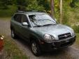 Bail pour Hyundai Tucson 2006 Vert