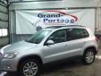 Bail pour Volkswagen Tiguan 2009 Gris