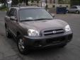 Bail pour Hyundai Santa Fe 2006 Beige